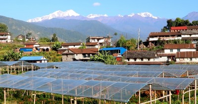 भलामचौरमा ‘फार्मस्टे’